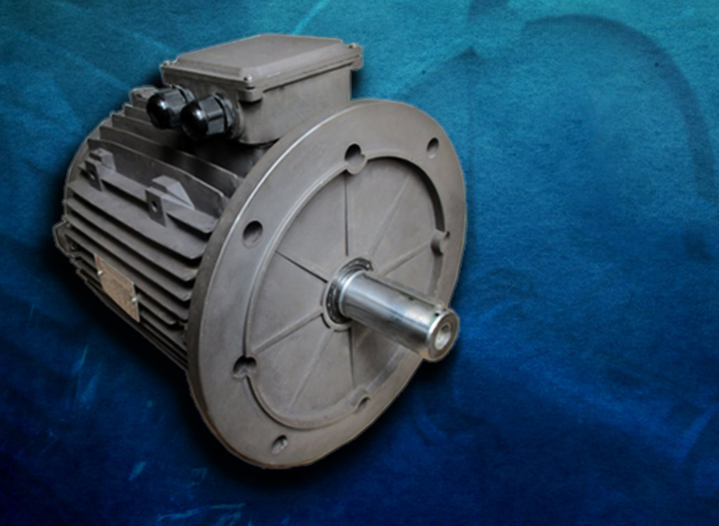 Bộ sưu tập động cơ điện ENERTECH