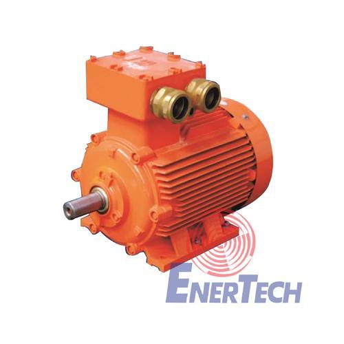 Explosion-Proof Three-Phase Asynchronous Motor