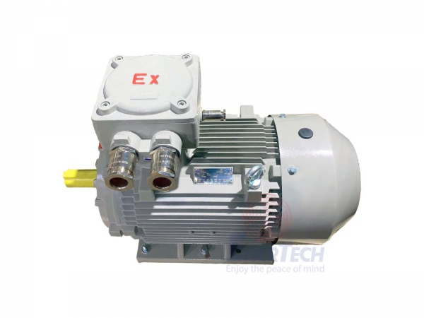 Special Requirements for Overhauling Explosion-Proof Electric Motors